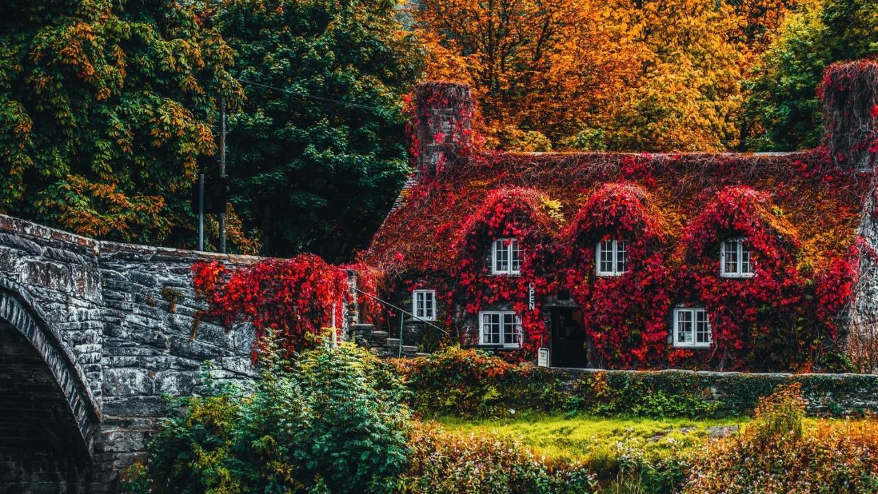 Sterling Bed & Breakfast Llandudno Szoba fotó